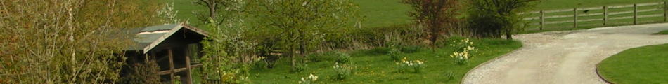 Brun Farm banner image
